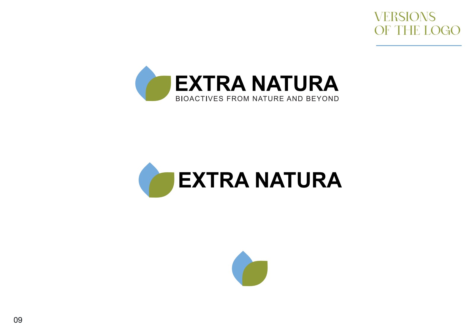 Extra Natura — Logo Versions